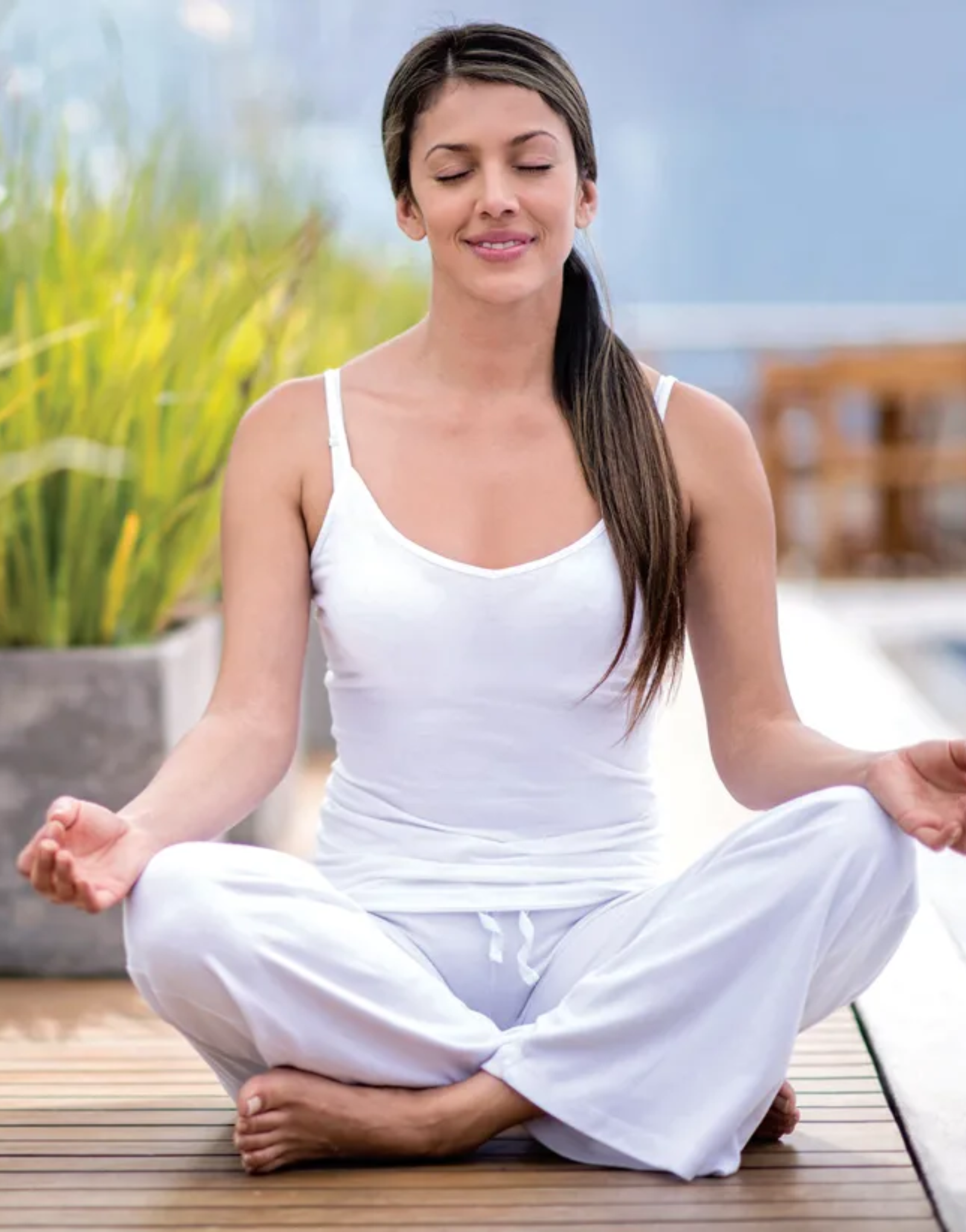 Wellness Solutions