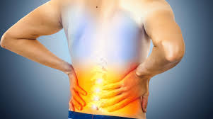 How Chiropractic Adjustments Can Aid in Back Pain Relief
