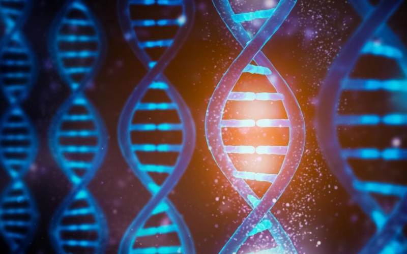 How Genetic Counseling Can Help with Inherited Conditions
